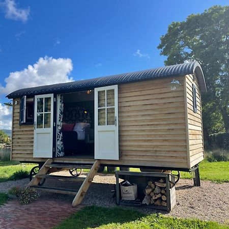 דורהם Toadland Shepherd Huts מראה חיצוני תמונה
